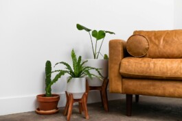 Paartherapie Seifert